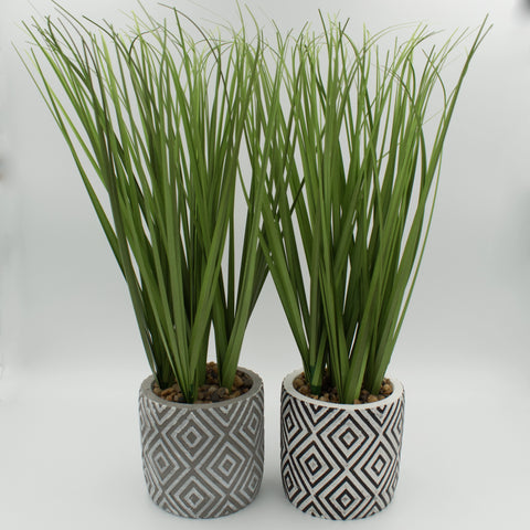 Vaso moderno con pianta per interni – HomeAmma